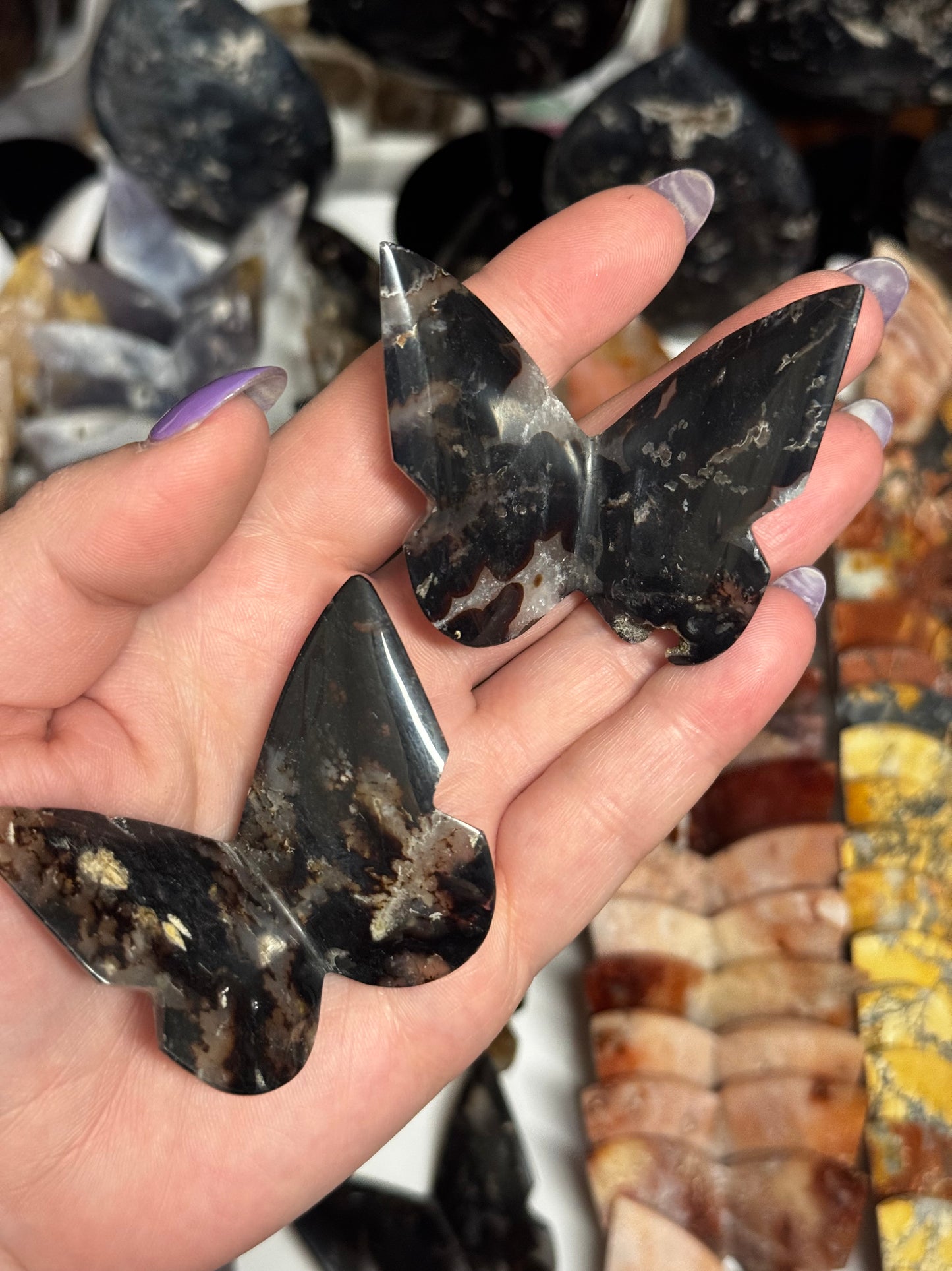 Black Dahlia Buttefly