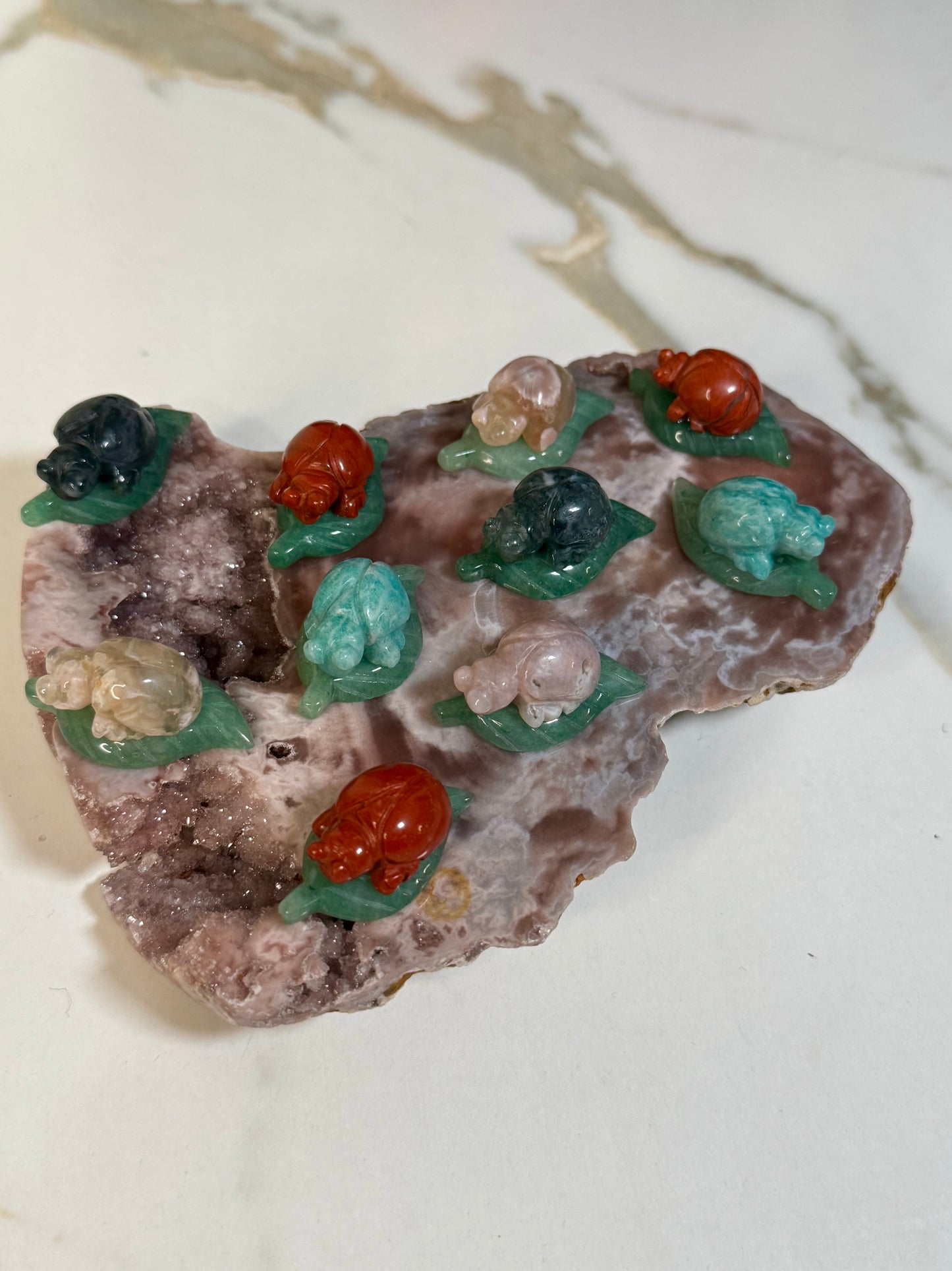 Mystery Mini Beetle on Leaf