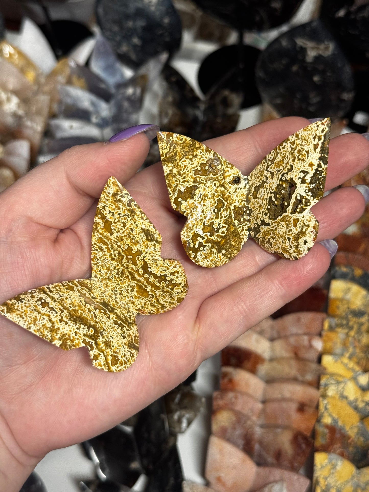 Ocean Jasper Butterfly