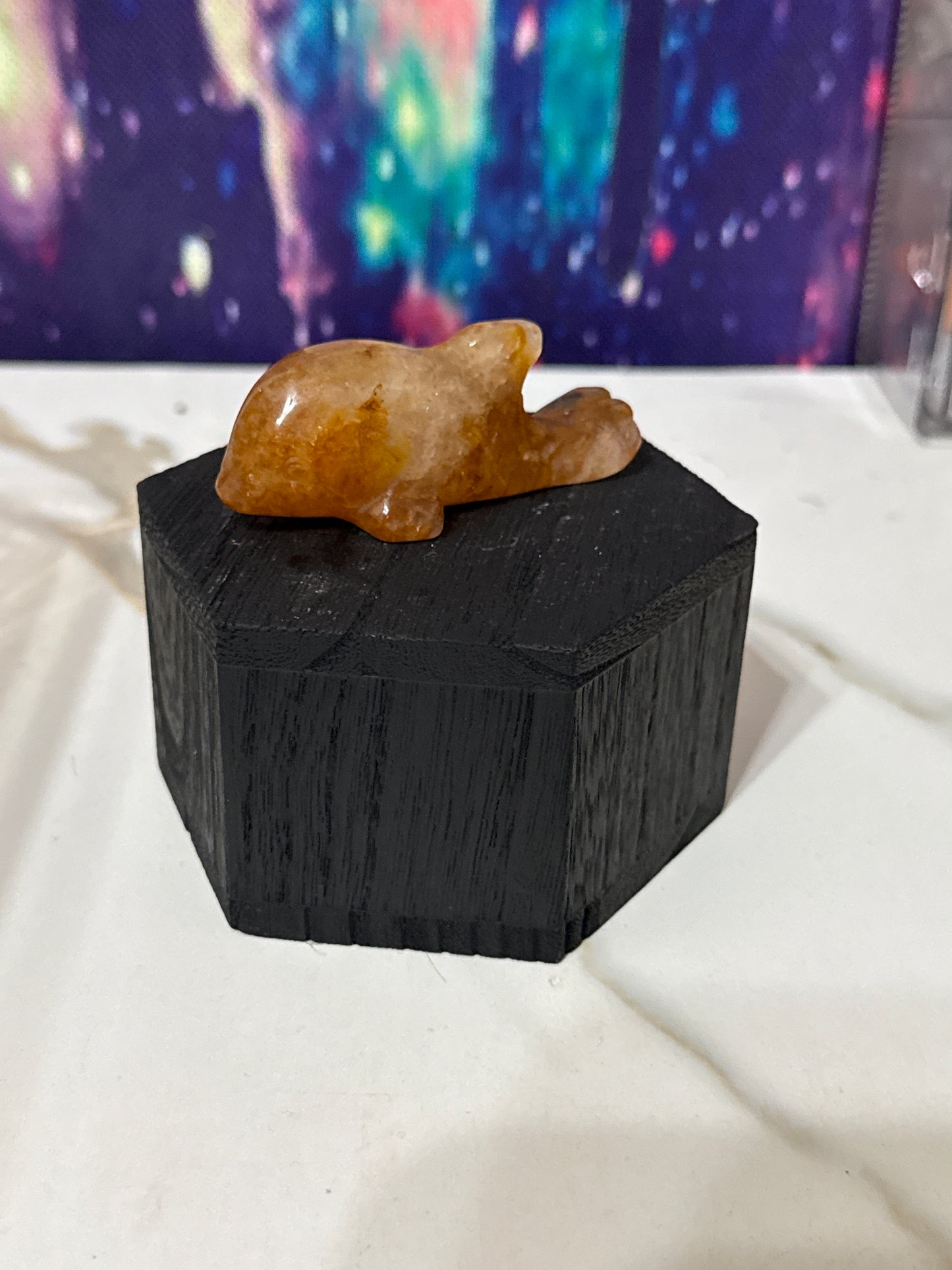 Golden healer dolphin