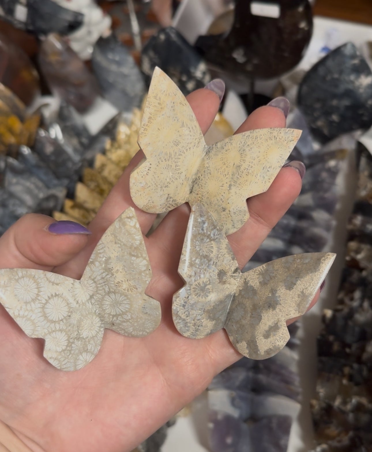 Fossil Coral Jasper Butterfly