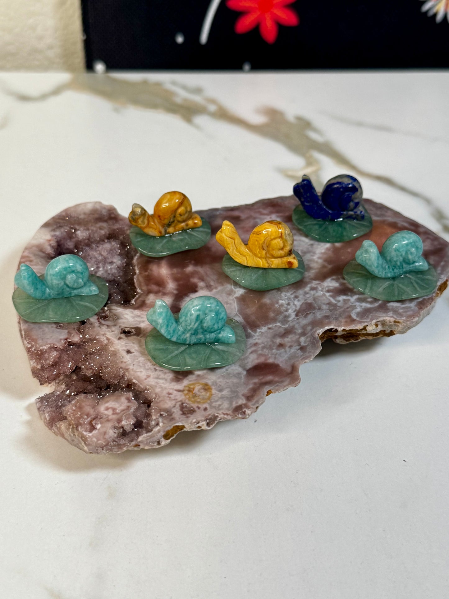 Mystery Mini Snail on Leaf