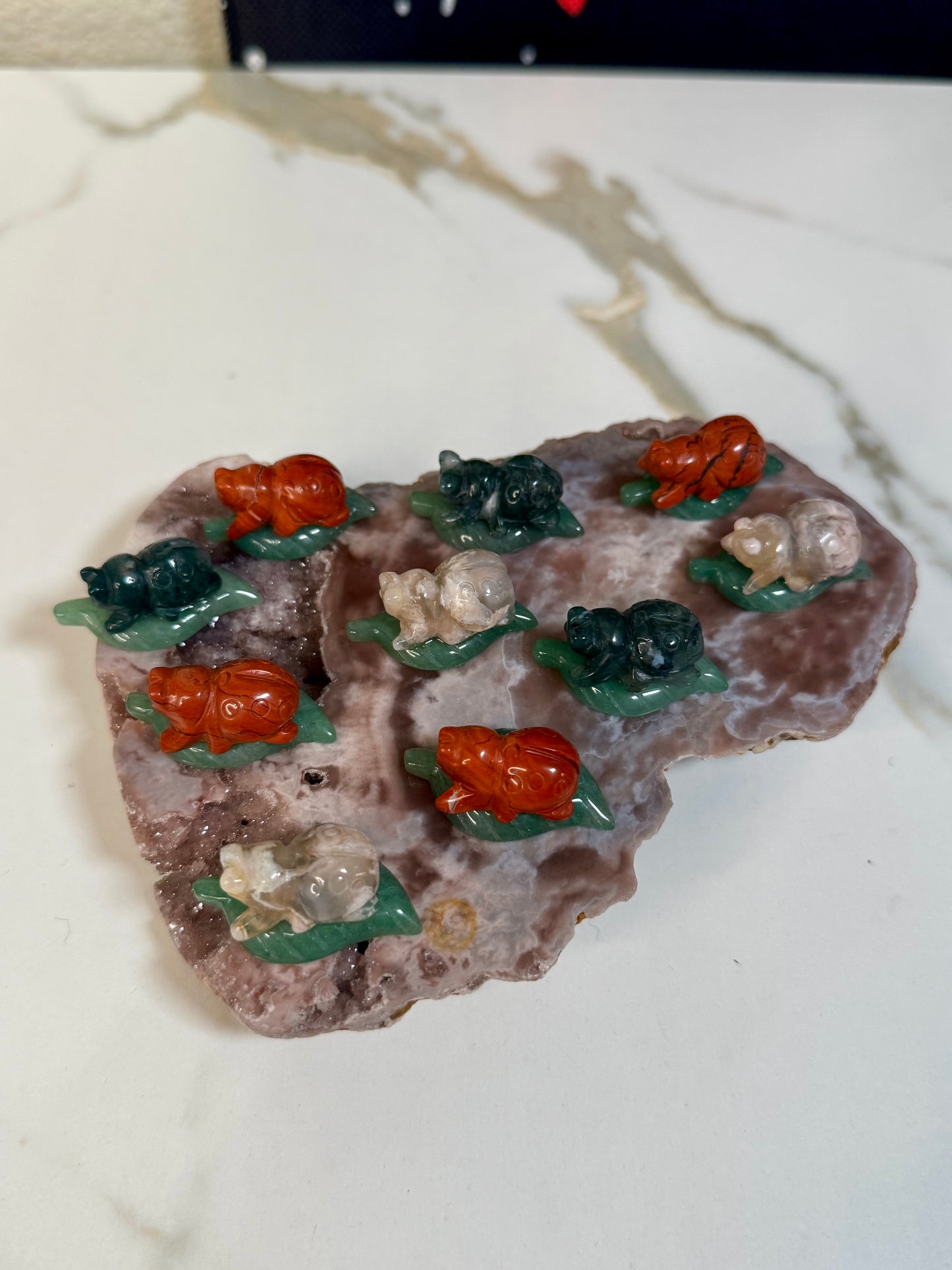 Mystery Mini Ladybug on Leaf