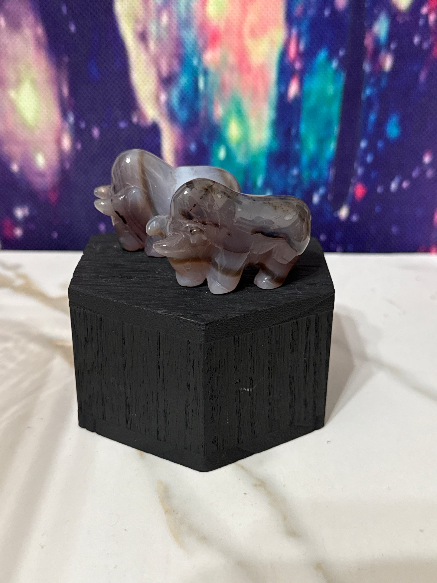 Agate bull