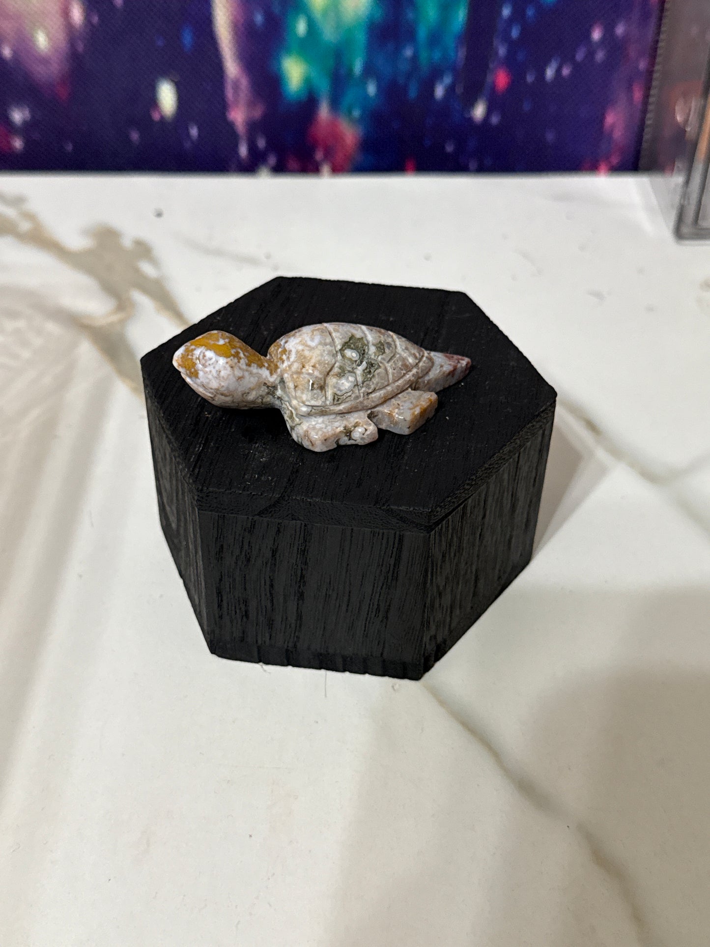 Ocean jasper turtle