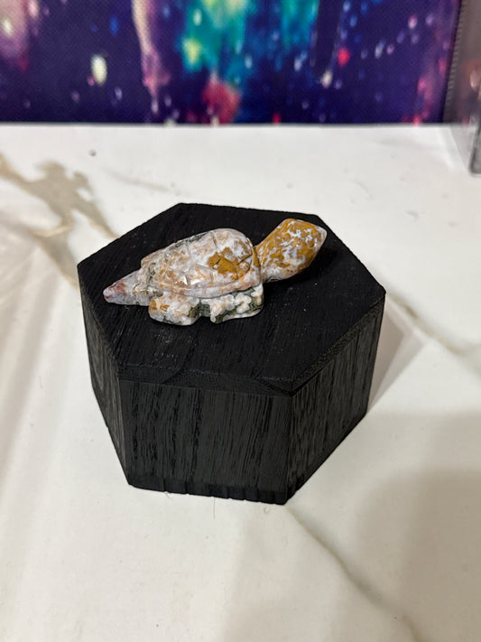 Ocean jasper turtle