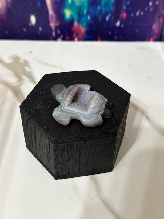 Druzy agate turtle
