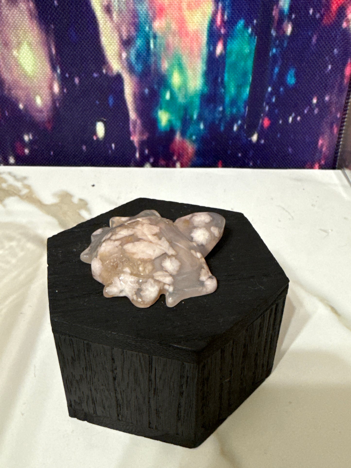 Flower agate turtle