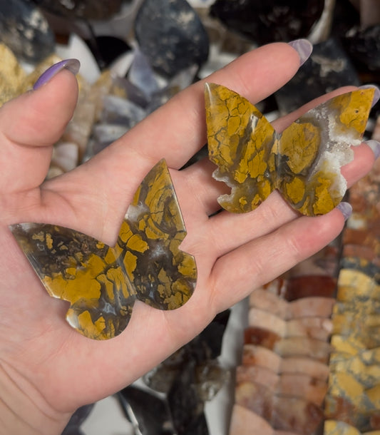 Brecciate Jasper Butterfly