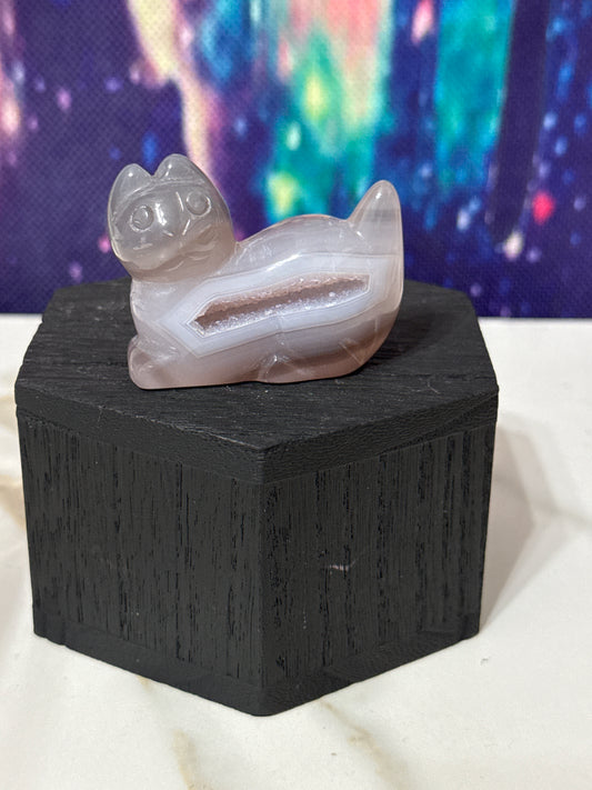 Druzy agate cat