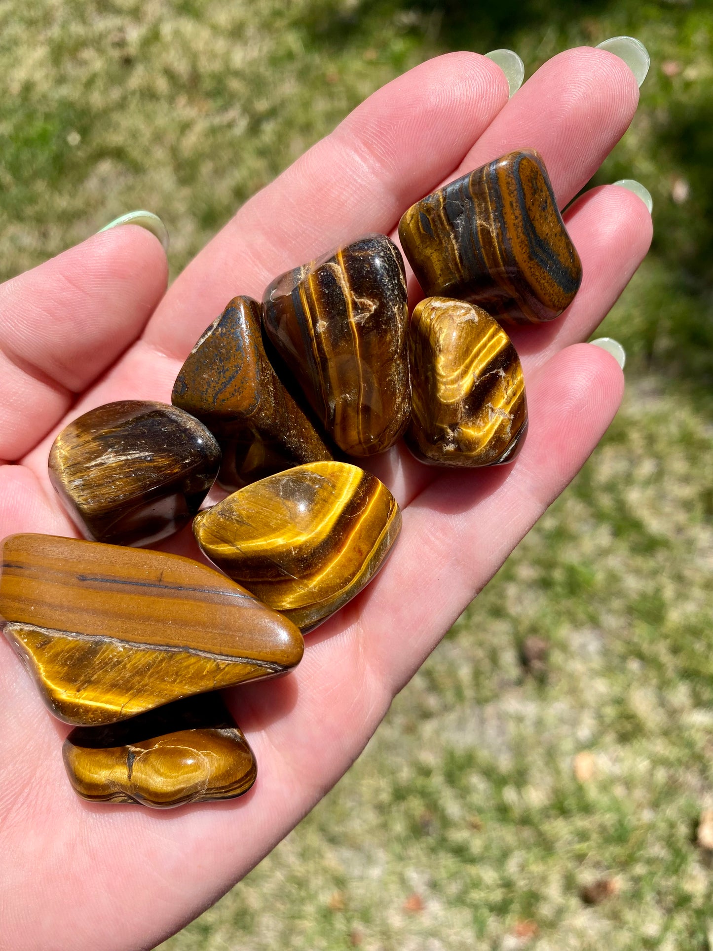 Tiger's Eye Tumble (Medium)